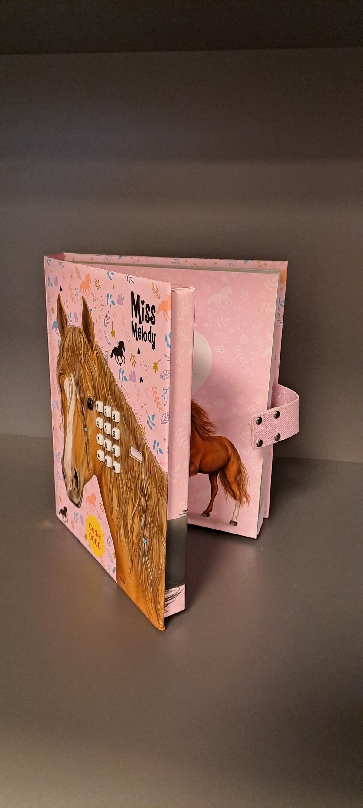 Geheim dagboek