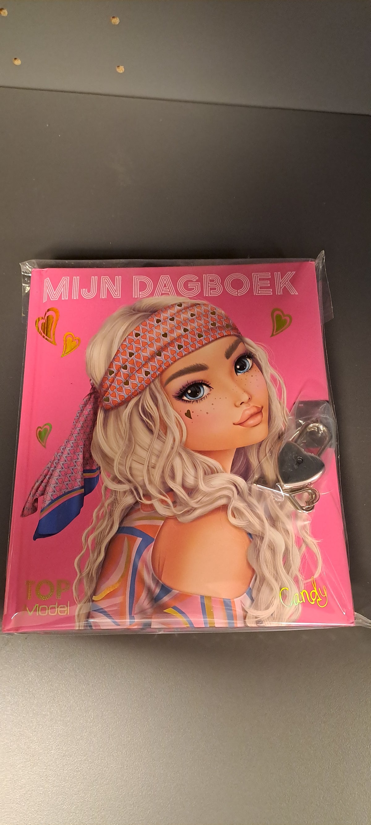 Mijn Dagboek